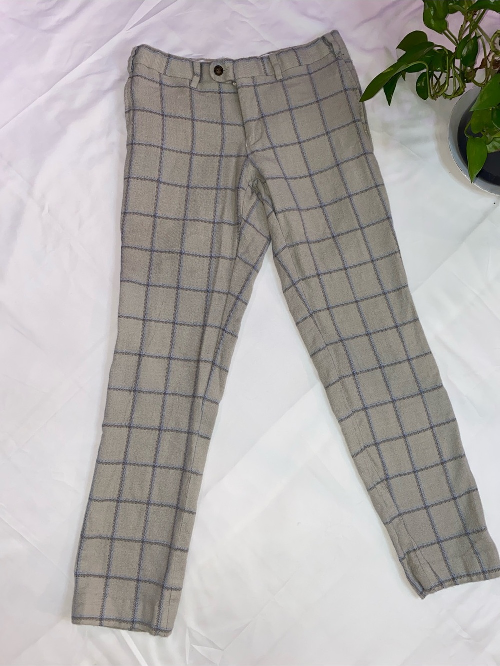 Brand Indochino Beige Plaid Slim Trousers with Blue Windowpane